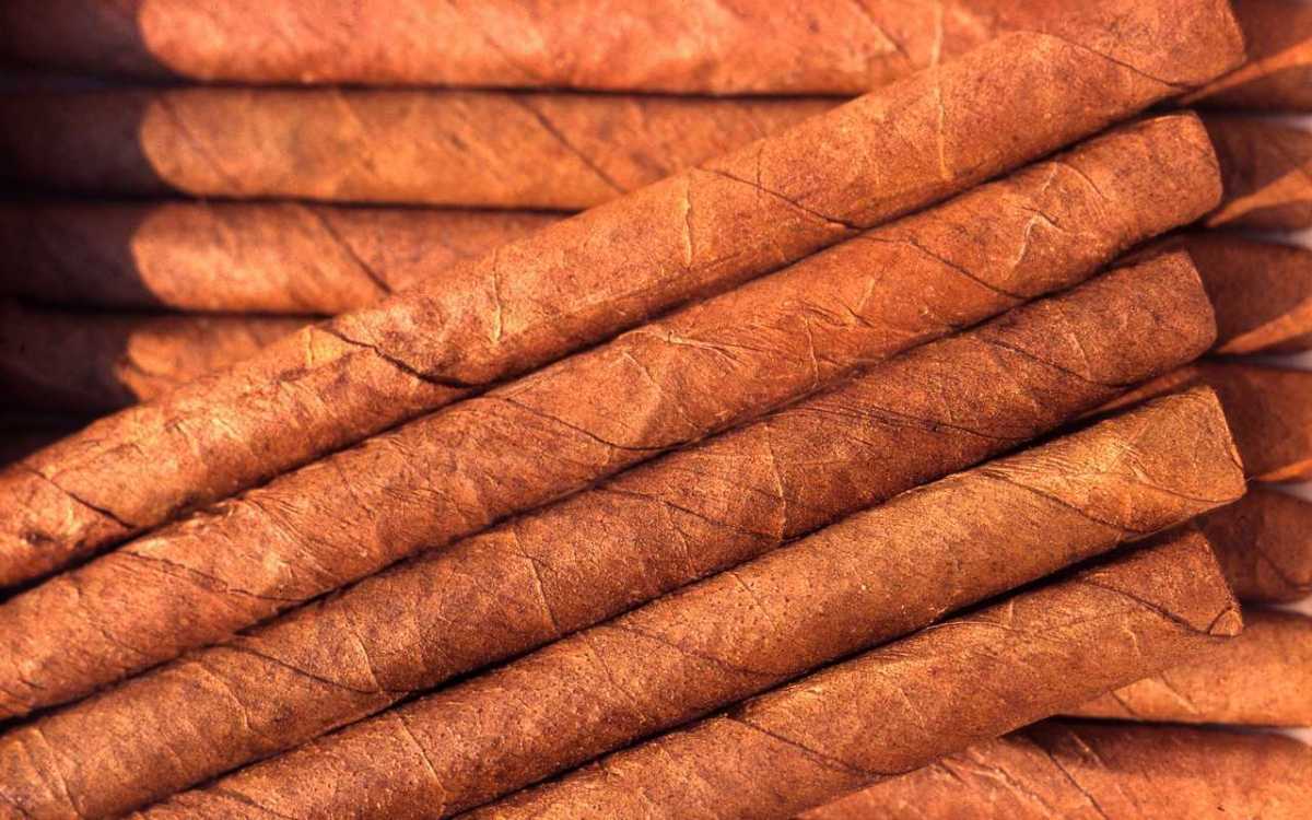 Rising Sales of Small Cigars in Russia Due to Price Stability