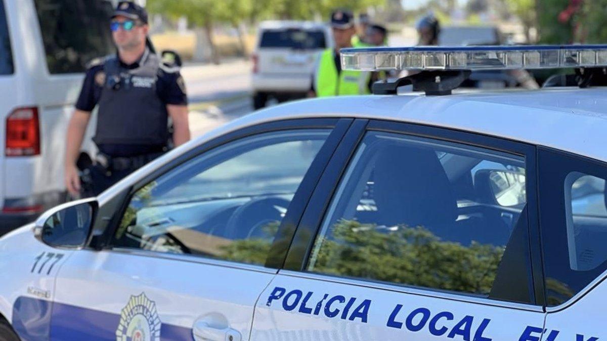 Police Arrest Suspect with Over 300 Marijuana Plants in Elche, Spain