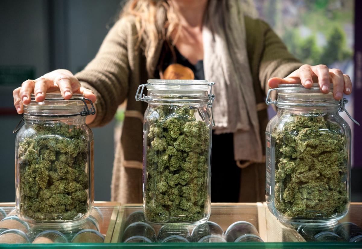 Nazarí Ordo: Spanish Civil Guard Crackdown on Cannabis Production and Trafficking