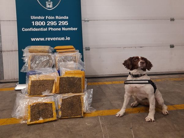 Waffle, el perro detective, ayuda a incautar cannabis valorado en 900.000 euros.