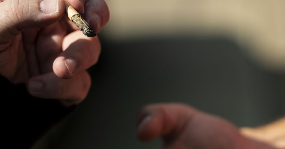 美国布法罗市一商店因售非法大麻被查处 价值超700万美元