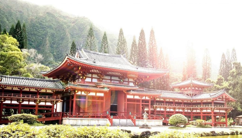 Análisis de datos de las exportaciones de cigarrillos electrónicos de China a Japón: datos de octubre de 2023.
