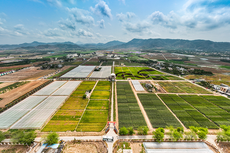 Hainan County Police Successfully Bust Drug Trafficking Gang
