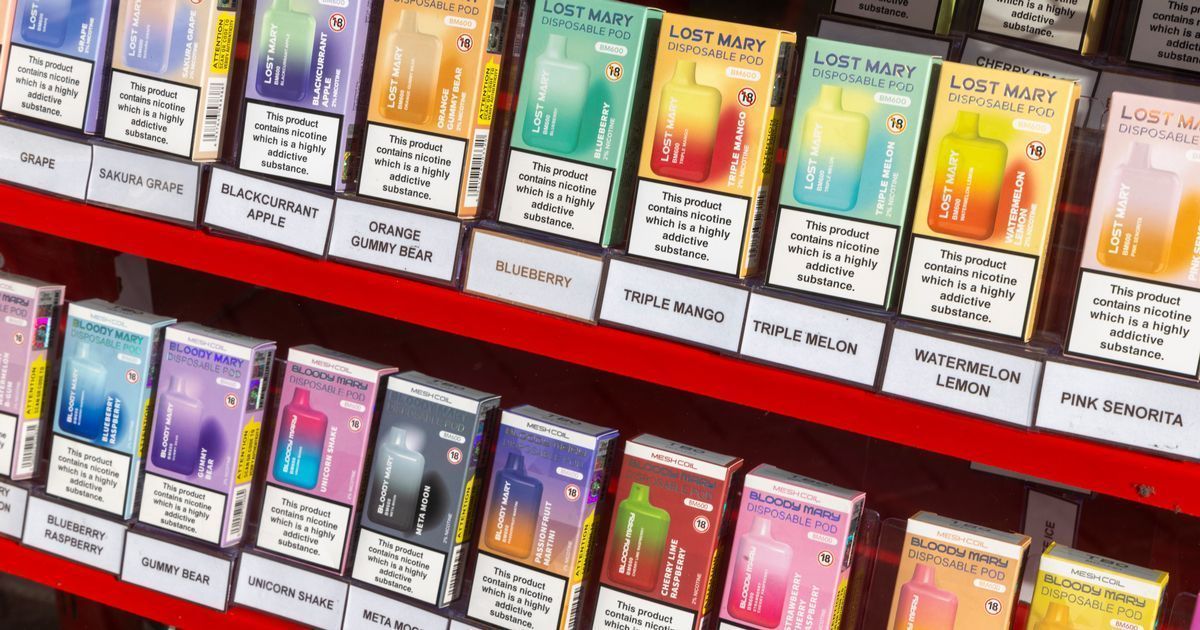 Motion Passed: Iring Council Calls for Complete Ban on Disposables in 2024