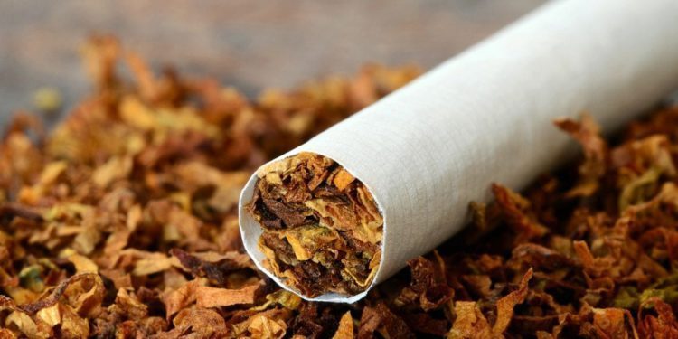 Expertos piden que Nigeria adopte una economía libre de humo de tabaco
