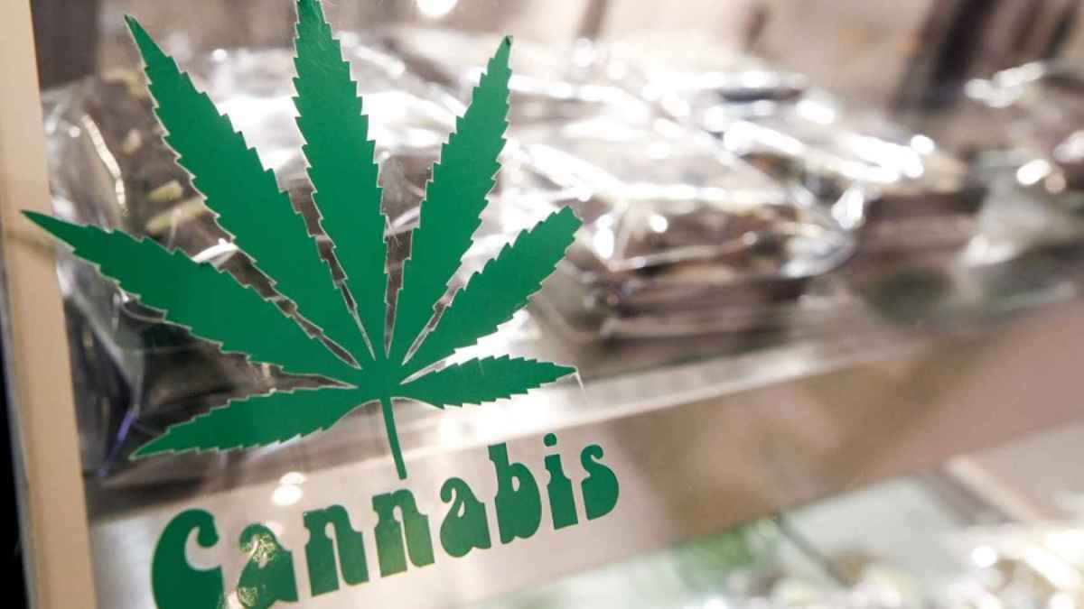 美国纽约州拟颁发1445个许可证刺激合法大麻产业发展