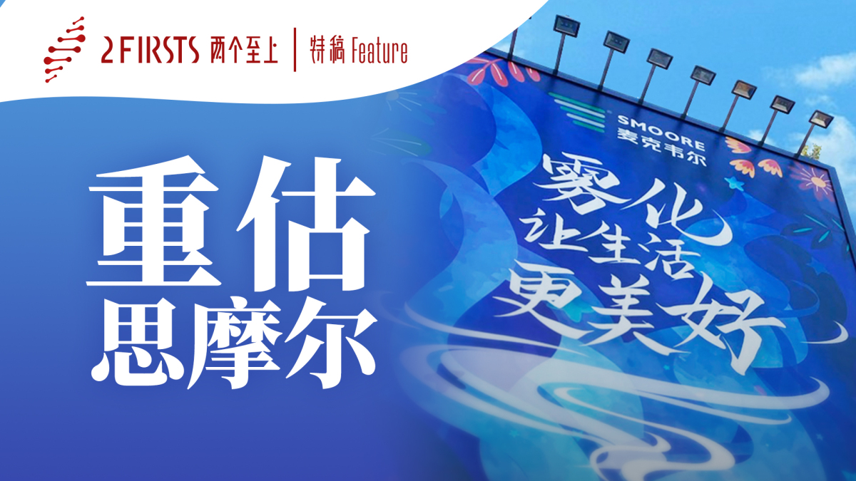 重估思摩尔:失误,危机与出路