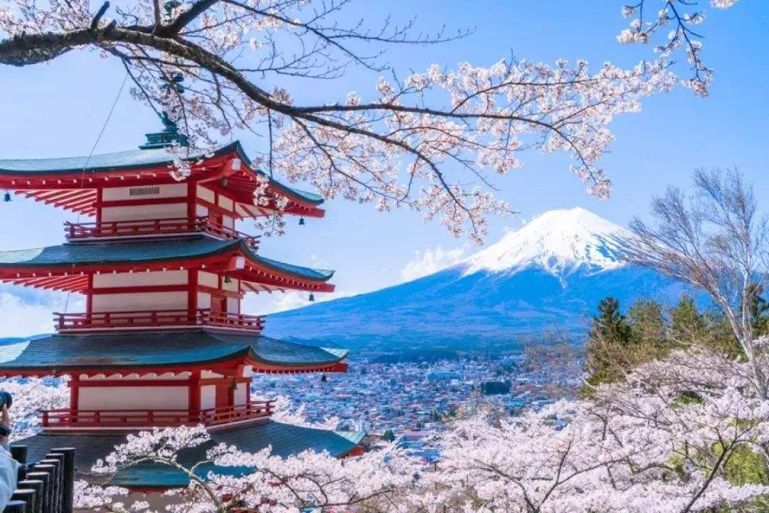 Las exportaciones de cigarrillos electrónicos de China a Japón disminuyen significativamente en noviembre de 2023.