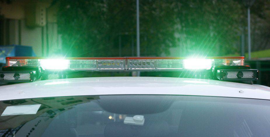 Chilean Authorities Seize Over 4,500 Cannabis Plants in Operation