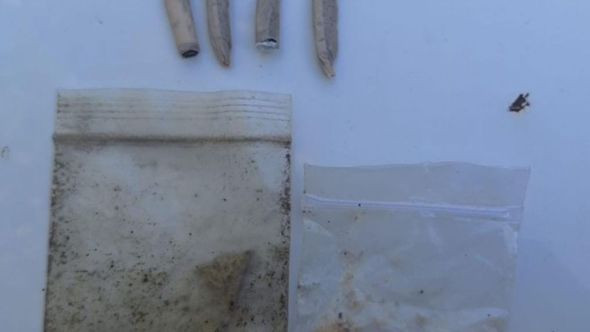 阿根廷电子音乐派对现场逮捕年轻人 携带大麻烟和违禁药物