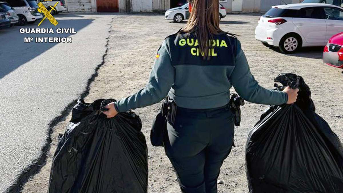 Spanish Police Arrest Suspect for Marijuana Cultivation and Drug Production