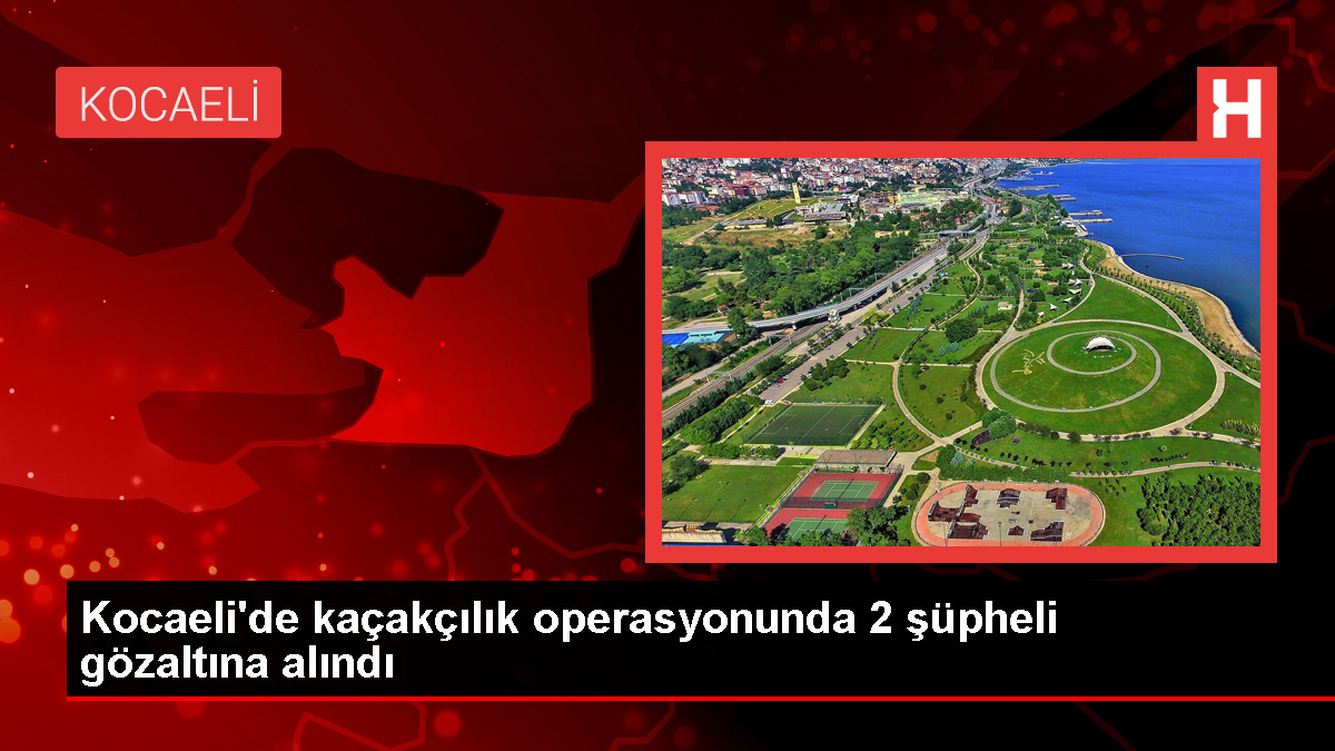 Turkish Authorities Capture Suspects in Anti-Smuggling Operation