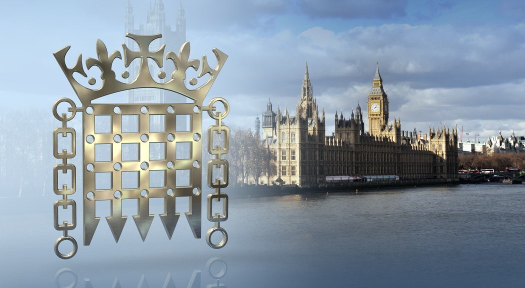 UK Parliamentary Debate on E-cigarette Regulation and WHO Position
