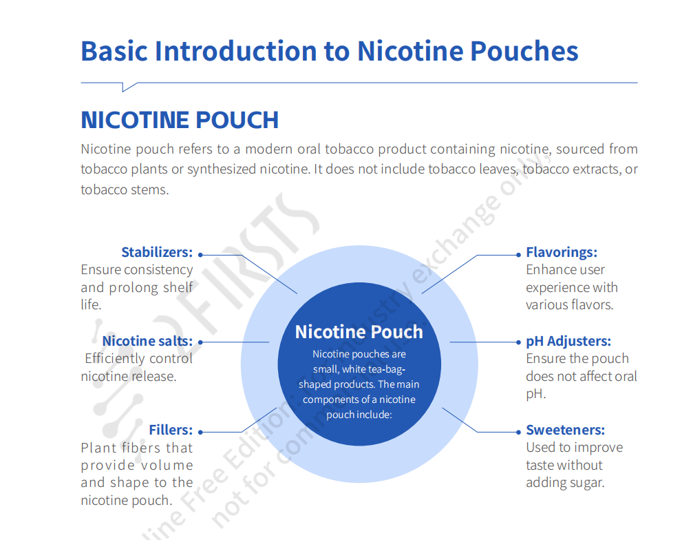 2024 Global Nicotine Pouch Market Blue Book Released by 2FIRSTS