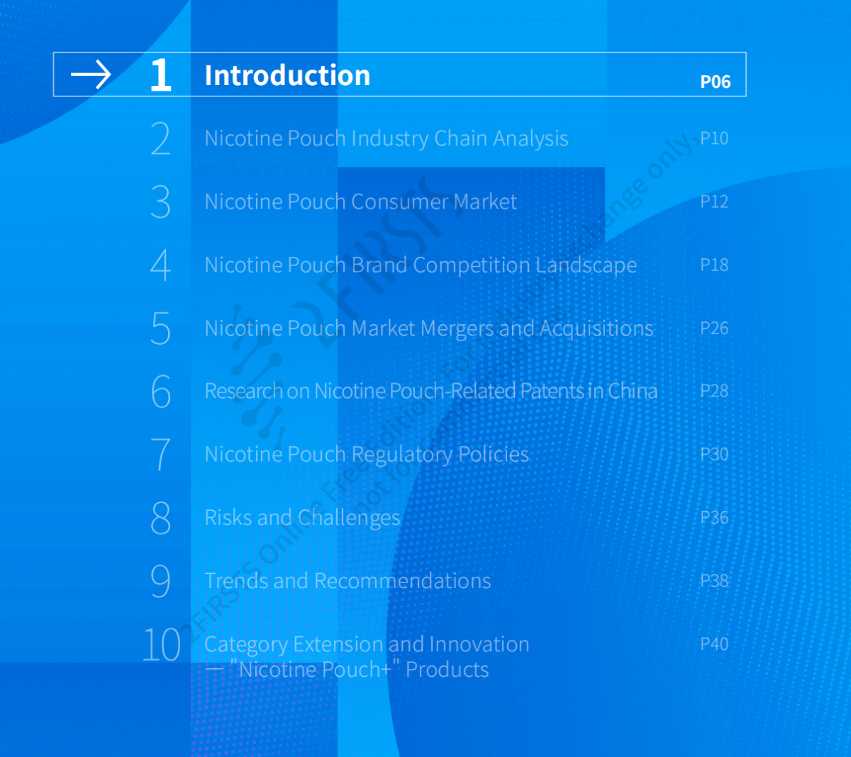 2024 Global Nicotine Pouch Market Blue Book Released by 2FIRSTS