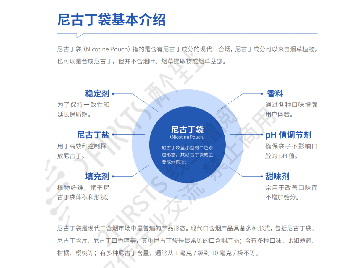 行业首份《2024全球尼古丁袋市场蓝皮书》正式发布