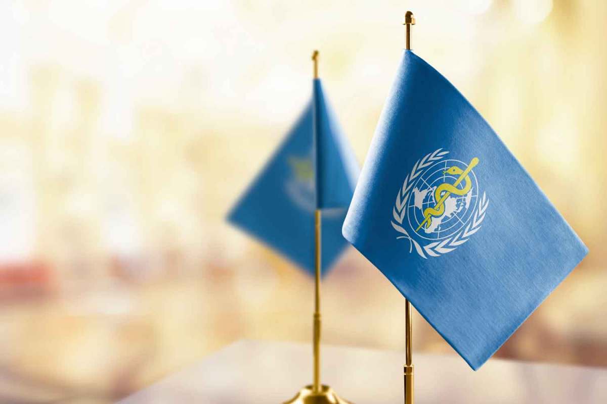 Elecciones para los Comités de Liderazgo de la COP10 y MOP3 de la CMCT de la OMS