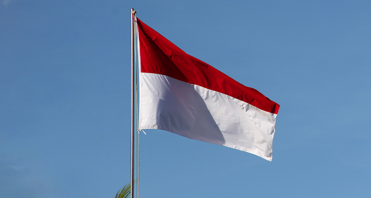 Análisis de los datos de exportación de cigarrillos electrónicos de China a Indonesia en diciembre de 2023.