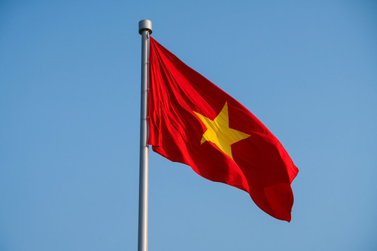 China's E-Cigarette Export Data to Vietnam in December 2023