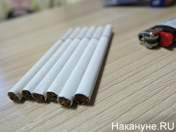 Mano dura contra la producción y distribución ilegal de tabaco en Rusia.