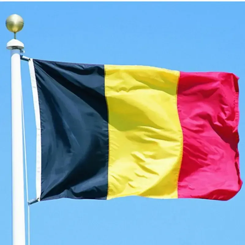 China's E-cigarette Export Data to Belgium in February 2024
