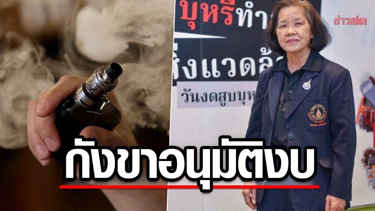 Thai Special Committee's Inspection of Chinese Vape Factories Raises Questions