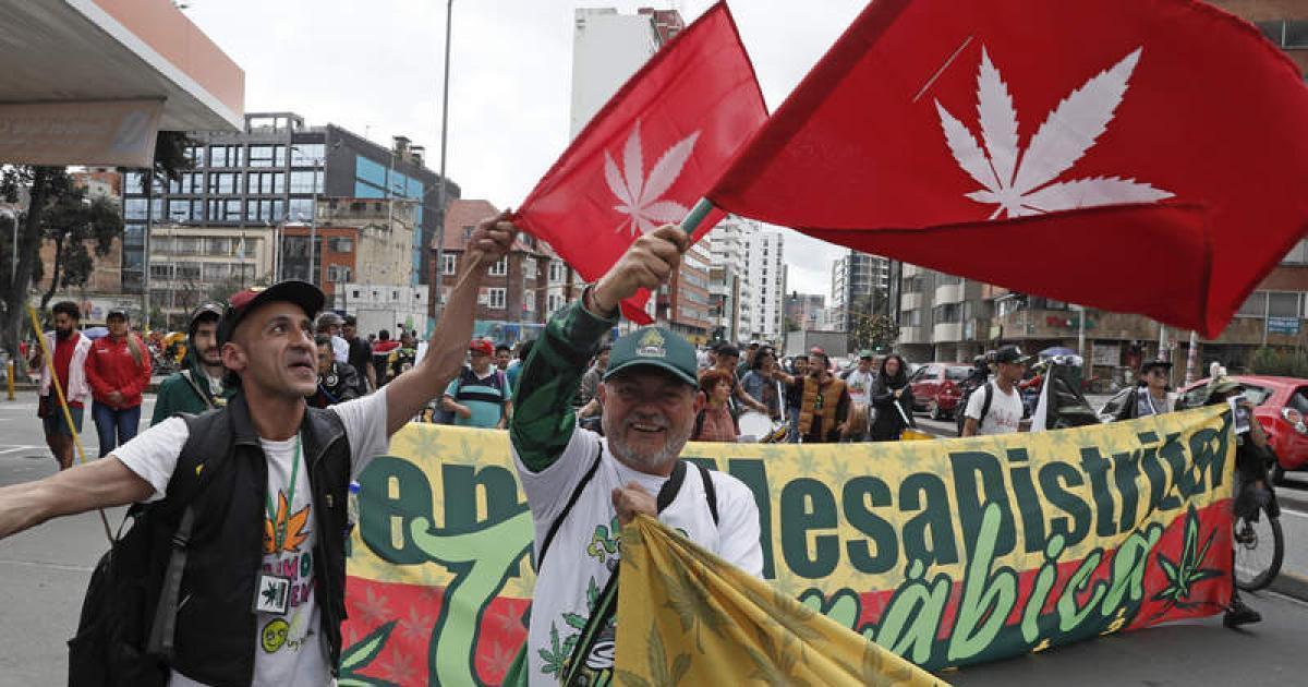 Global Cannabis Protest in Bogota Calls for Legalization and Rights