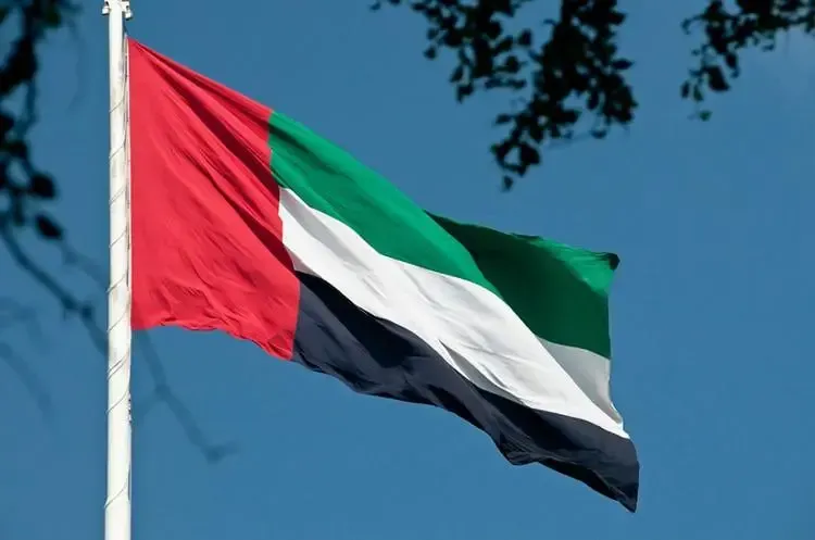 Análisis de las exportaciones de cigarrillos electrónicos de China a los Emiratos Árabes Unidos en marzo de 2024.