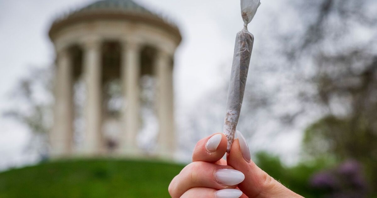 德国大麻合法化：公园仍禁止使用