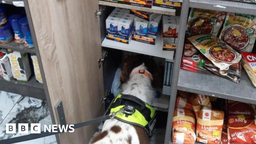 英国牛津郡议会警告禁止非法使用一次性电子烟