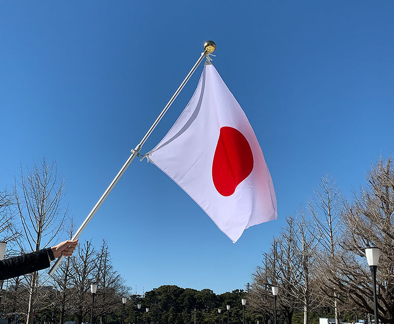 Datos de exportación de cigarrillos electrónicos de China a Japón en mayo de 2024.