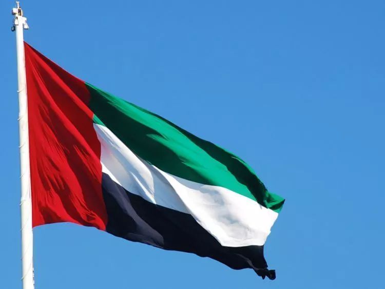 China's E-cigarette Exports to the UAE in May 2024
