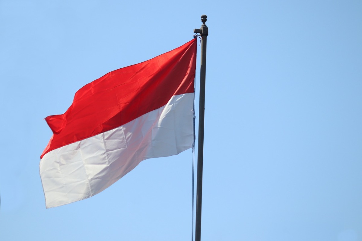Datos de exportación de cigarrillos electrónicos de China a Indonesia en mayo de 2024.