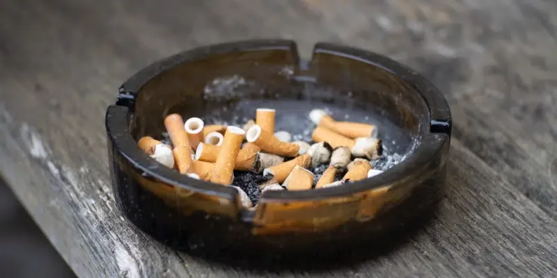 加拿大纽芬兰省拟议烟草法规修正案 计划提高购烟年龄和禁止调味电子烟