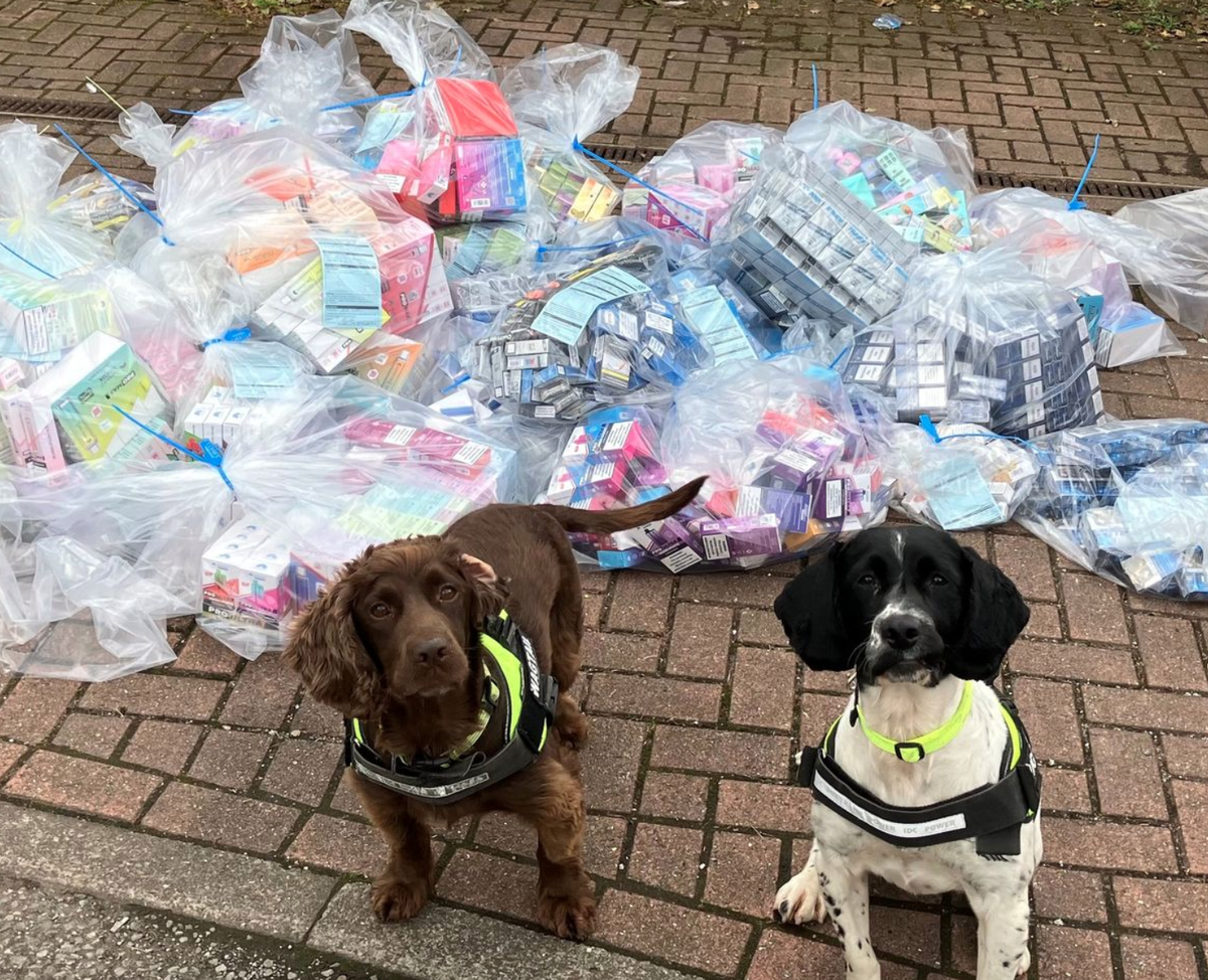 Police Seize £50,000 Worth of Illegal Tobacco Products