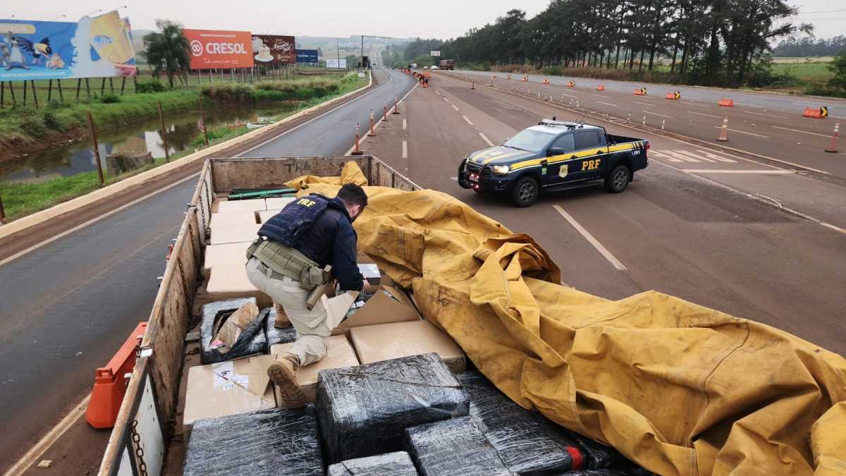 Brazilian Federal Police seize illegal e-cigarettes worth millions