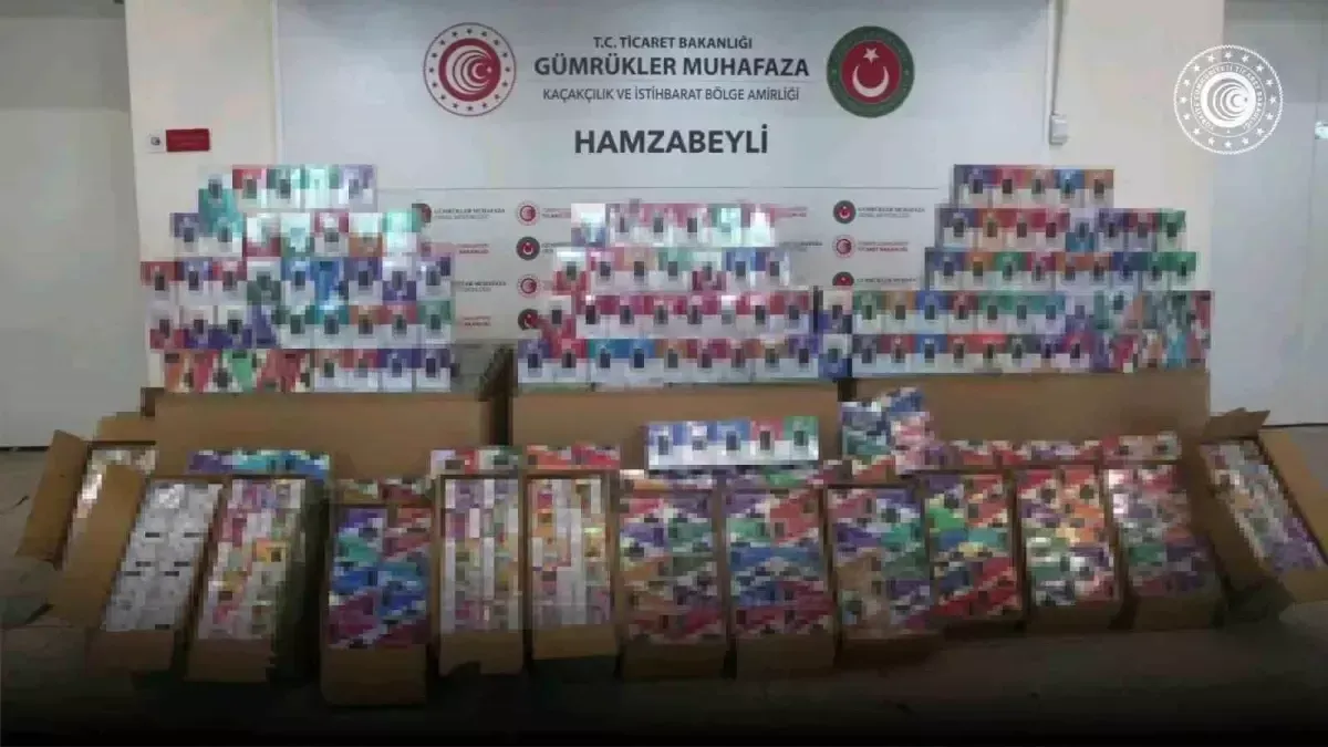 Turkish police seize $700,000 illegal e-cigarettes at border crossing