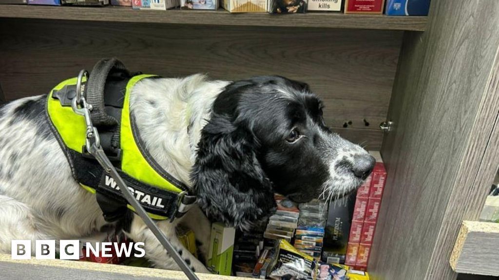 Decomiso a gran escala de tabaco ilegal y cigarrillos electrónicos en Lancashire, Reino Unido