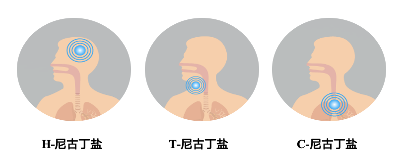 镁乐生物亮相TPE 2025:电子烟烟油科技的新高度