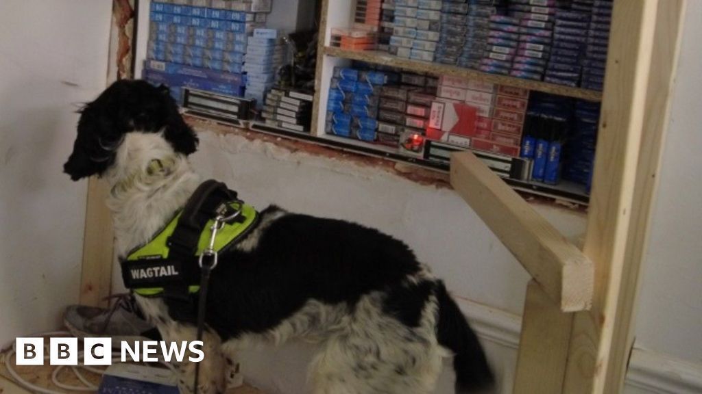 Lincolnshire Police Seize Largest Illegal Cigarette Haul on Record