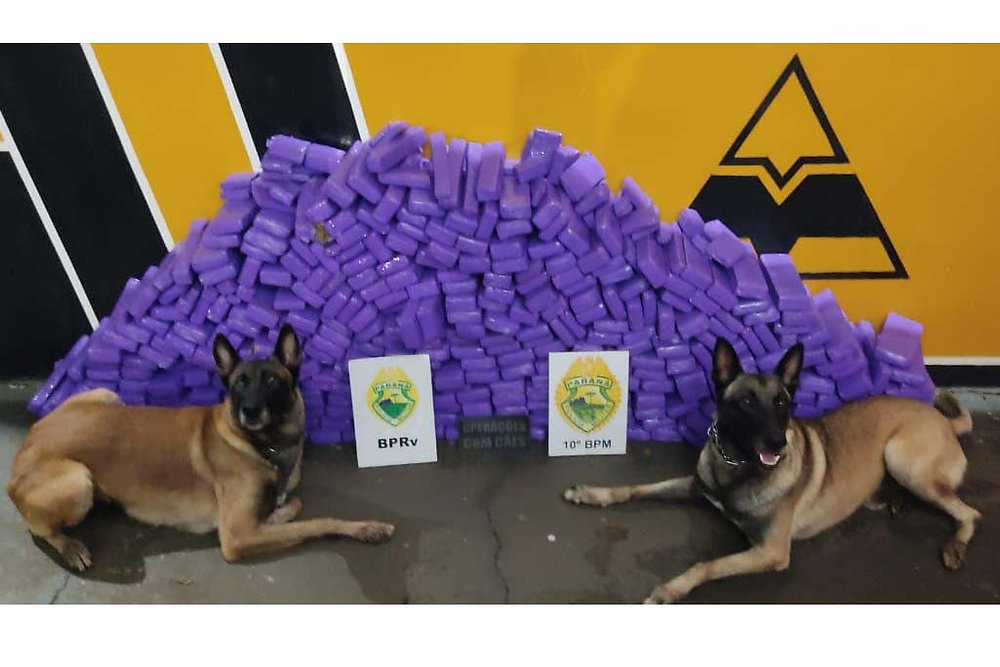 La policía brasileña incauta 21.000 cigarrillos electrónicos y 238 kg de marihuana.