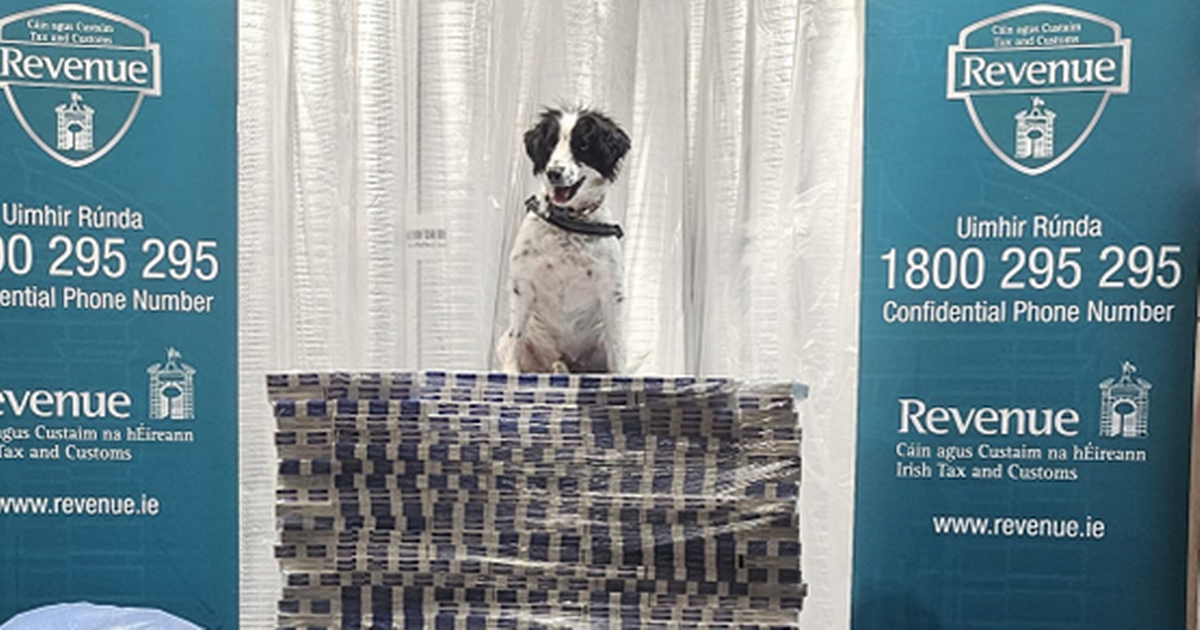 Ireland Dublin Port Seizes 7.65 Million Smuggled Cigarettes