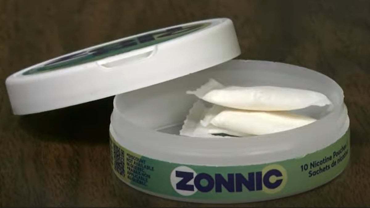 加拿大保守党承诺：若执政将放宽尼古丁袋销售渠道