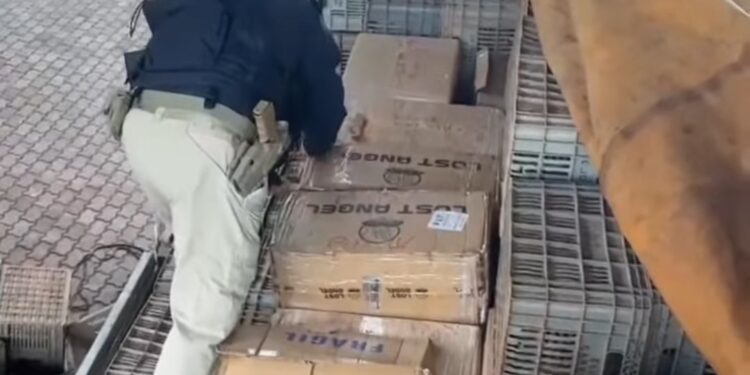 Brazilian Police Seize Nearly 20,000 Illegal E-cigarettes In Raid