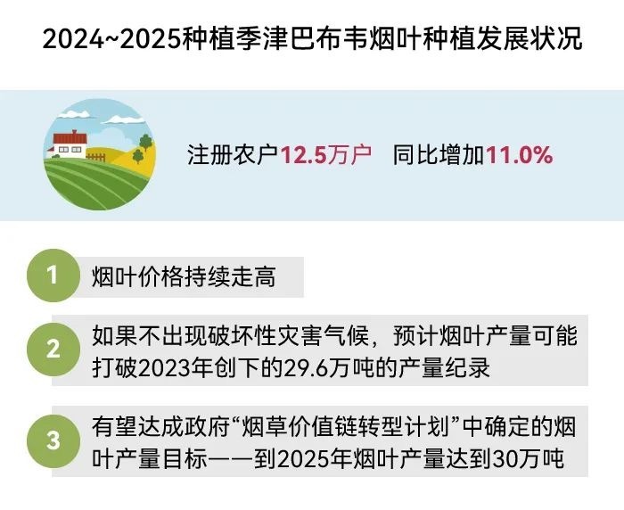 东方烟草报：2024年世界烟草发展报告（中）