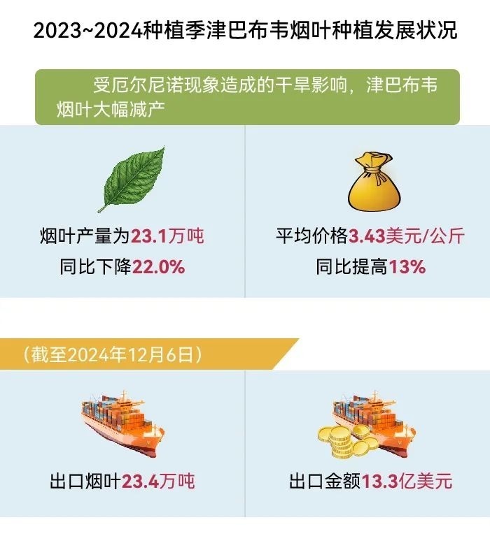 World Tobacco Development Report 2024 (Part II)
