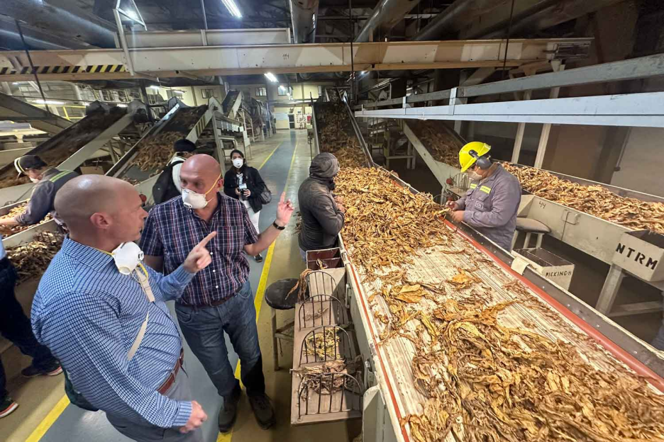 Tobacco Growers Discuss Shared Challenges and Opportunities at ITGA Regional Meeting