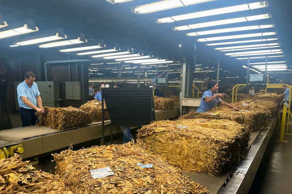 Tobacco Growers Discuss Shared Challenges and Opportunities at ITGA Regional Meeting