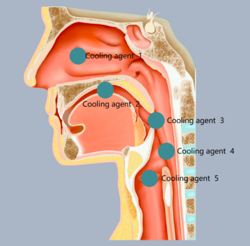 镁乐生物发布Coolant系列凉味剂,引领电子烟迈入“3D感官”新时代