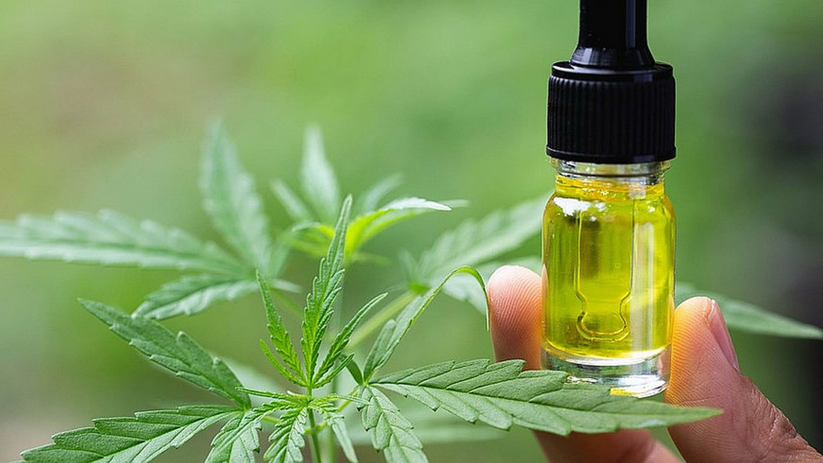 Smoore's Subsidiary CCELL Faces Antitrust Lawsuit in the U.S., Accused of Price Manipulation and Market Monopoly